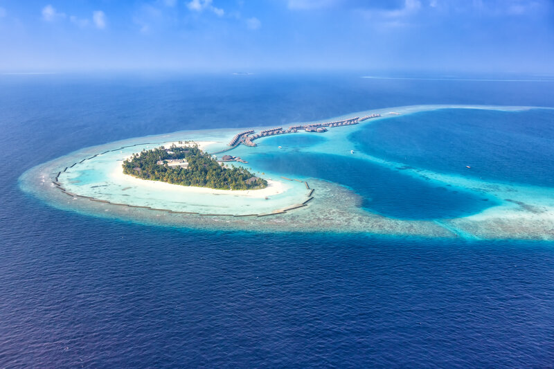 Maldive Anthias Diving
