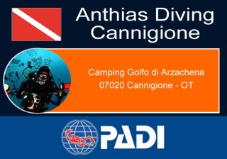 Anthias Diving
