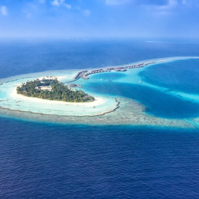 Maldive Anthias Diving